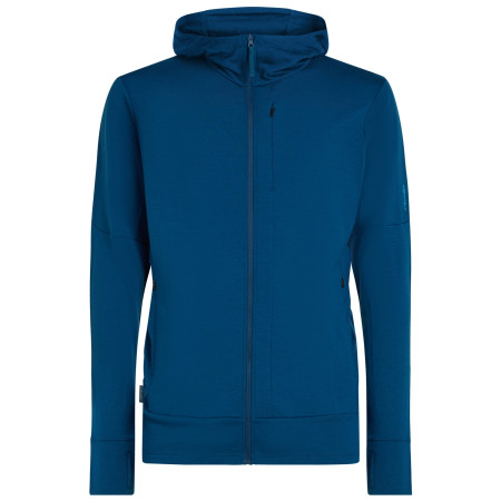 Функционален мъжки суитшърт Icebreaker M Mer 260 Quantum IV LS Zip Hoodie