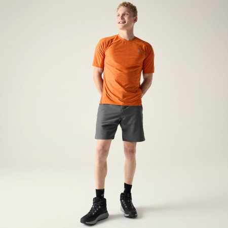 Мъжки къси панталони Dare 2b Torrek II Short