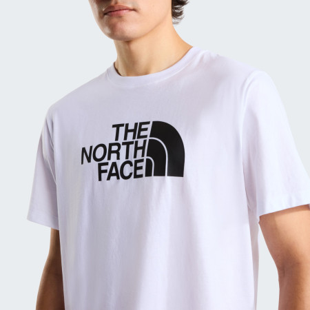 Мъжка тениска The North Face Evolution Half Dome Regular Short Slee