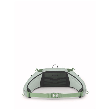 Чанта за кръста Osprey Tempest 6
