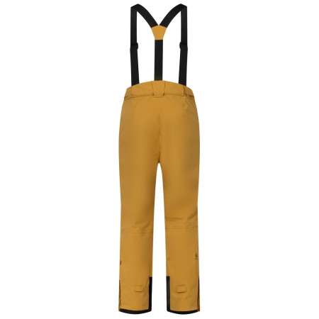 Мъжки панталони Dare 2b Achieve III Pant regular
