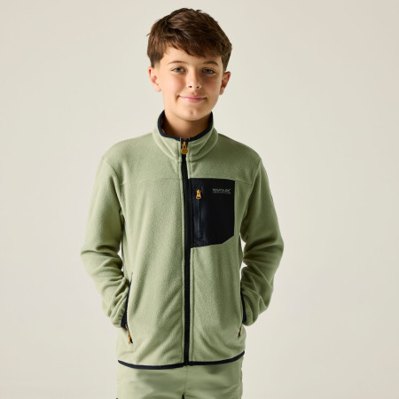 Детски суитшърт Regatta Junior Frankie F/Z Light Sage