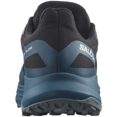 Мъжки обувки за бягане Salomon Ultra Flow GTX