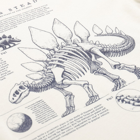 Детска тениска Alpine Pro Ecco 2