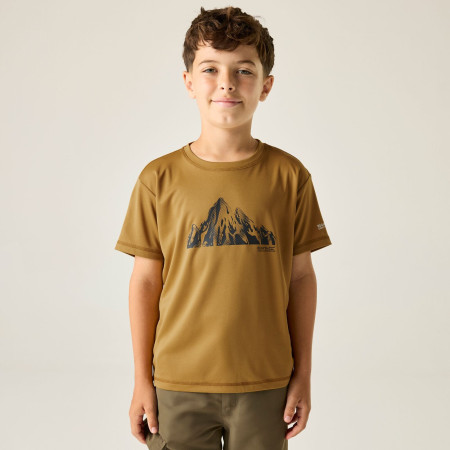 Детска тениска Regatta Alvarado Wood Brown