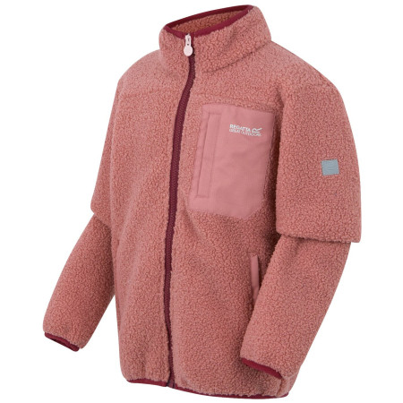 Детски суитшърт Regatta Junior Frankie Warm Fleece