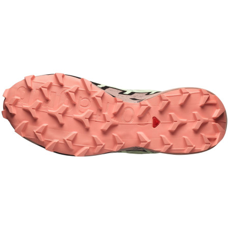 Дамски обувки Salomon Speedcross 6 Gore-Tex