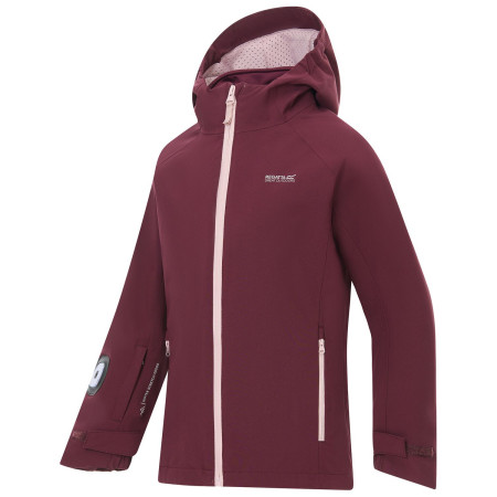 Зимно яке за момичета Regatta Girls Trekktain 3-in-1 II FigPowLilac