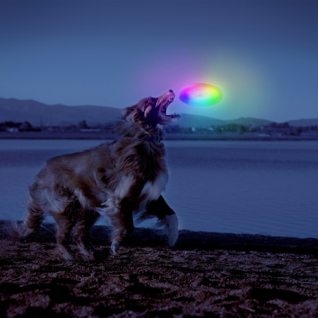 Играчка за куче Nite Ize Flashflight® Dog Discuit™ LED Flying Disc