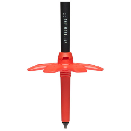 Туристически щеки Black Diamond Traverse Ski Poles (2024)