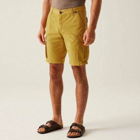 Мъжки къси панталони Regatta Shorebay Shorts II