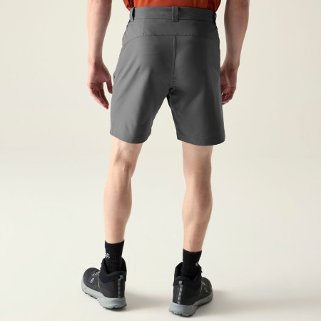 Мъжки къси панталони Dare 2b Torrek II Short