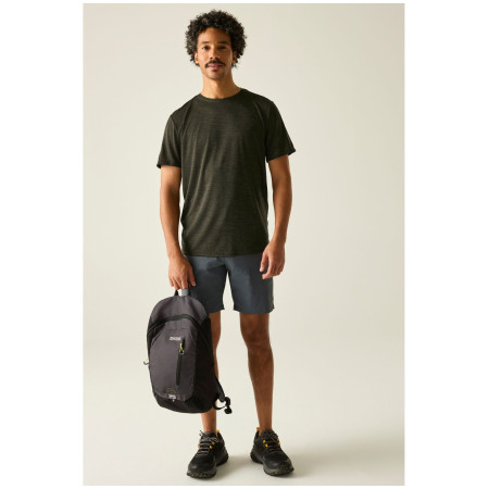 Мъжка тениска Regatta Fingal Edition