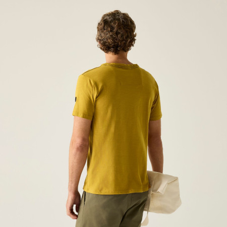 Мъжка тениска Regatta Finlo