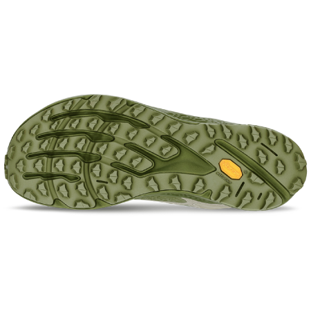 Мъжки обувки за бягане Altra Timp 6 GTX