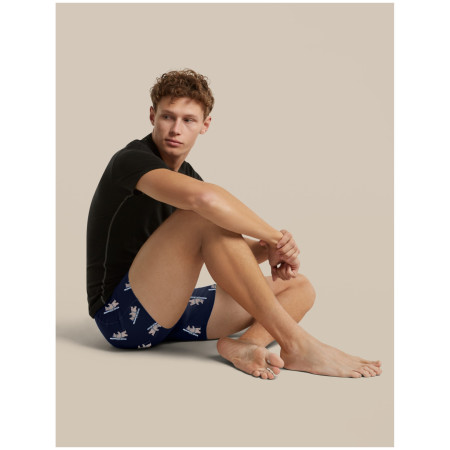 Мъжки функционални боксерки Icebreaker Men M 150 Anatomica Boxers BearTourAOP