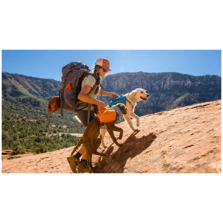 Раница за куче Ruffwear Approach™ Pack