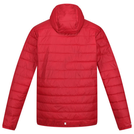 Мъжко зимно яке Regatta Hooded Hillpack