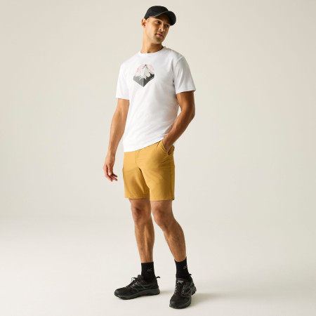 Мъжка тениска Regatta Fingal Graphic T-Shirt