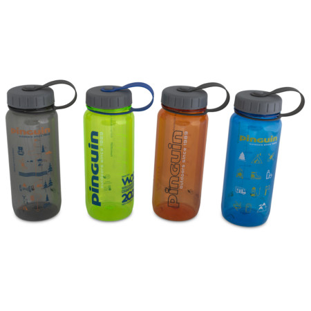 Бутилка Pinguin Tritan Slim Bottle 0,65 l