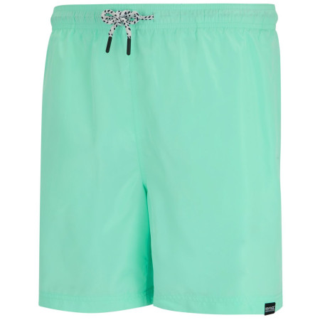 Мъжки къси панталони Regatta Mackleyna Swim Short