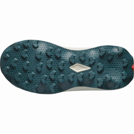 Дамски обувки Salomon Ultra Flow 2 W