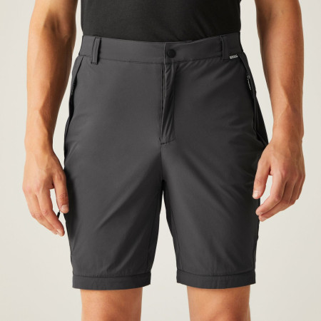 Мъжки панталони Regatta Travel Light Z/O Packaway Trousers