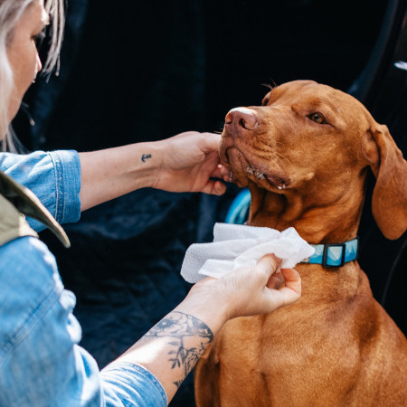 Мокри кърпи за кучета Explorer Dog Натурални мокри кърпички за кучета – 40 бр.