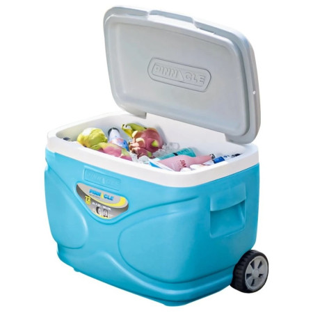 Хладилна кутия Pinnacle Prudence 30L