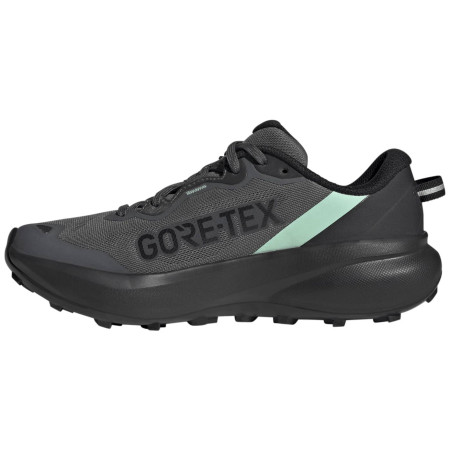 Дамски обувки за бягане Adidas Terrex Tracefinder Plus Gtx