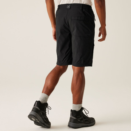 Мъжки къси панталони Regatta Highton Shorts Long II