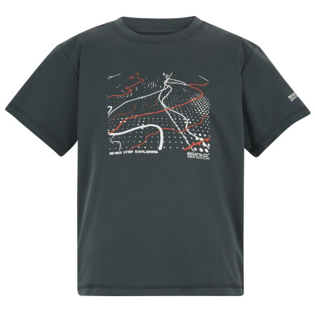 Детска тениска Regatta Alvarado Seal Grey сив Seal Grey