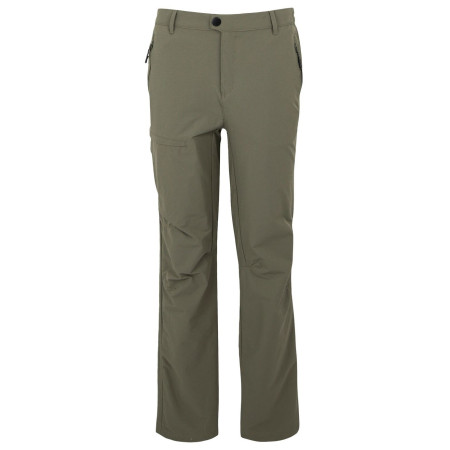 Мъжки панталони Regatta Highton Trousers I зелен Treetop