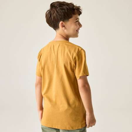 Детска тениска Regatta Bosley Wood Brown