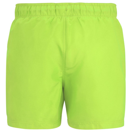 Мъжки бански Regatta Mawson Swim Shorts III