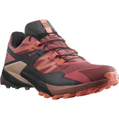 Дамски обувки Salomon Wings Sky Gore-Tex червен AppleButter