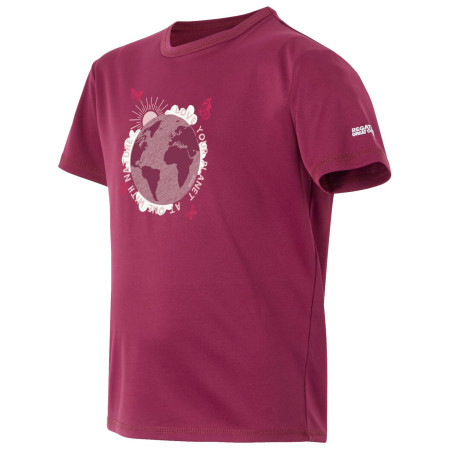 Детска тениска Regatta Alvarado IX