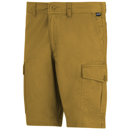 Мъжки къси панталони Regatta Ruwan Shorts
