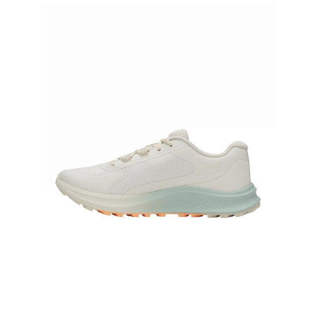 Дамски обувки за бягане Under Armour W Charged Bandit Tr 3