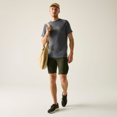 Мъжки къси панталони Regatta Bendrick Shorts