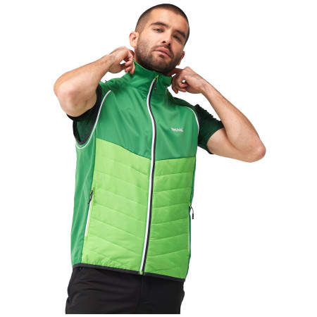 Мъжко яке Regatta Steren Hybrid