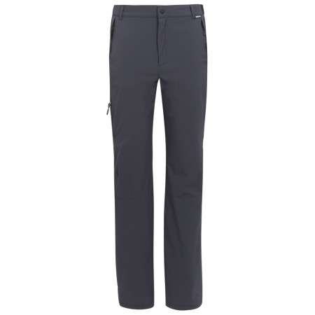Мъжки панталони Regatta Travel Light Packaway Trousers сив Ash
