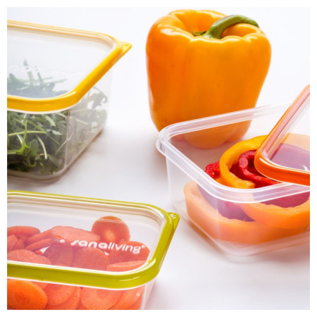 Кутия за храна Omada Sanaliving Box Set 3x 19x14x9cm/1,3L