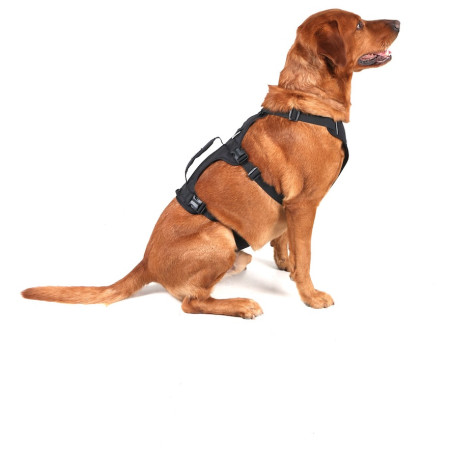 Нагръдник за куче Mountain Paws 3-Strap Dog Harness