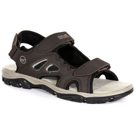 Мъжки сандали Regatta Holcombe Vent