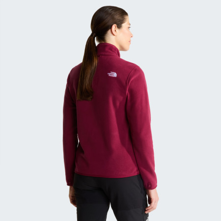 Дамски функционален суитшърт The North Face W Glacier Fleece Jacket