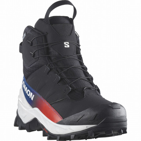 Мъжки обувки Salomon Crosstrak Powder Waterproof Equipe черен Black / Black / Black