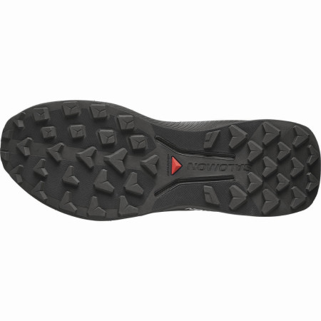 Мъжки обувки за бягане Salomon Genesis 2