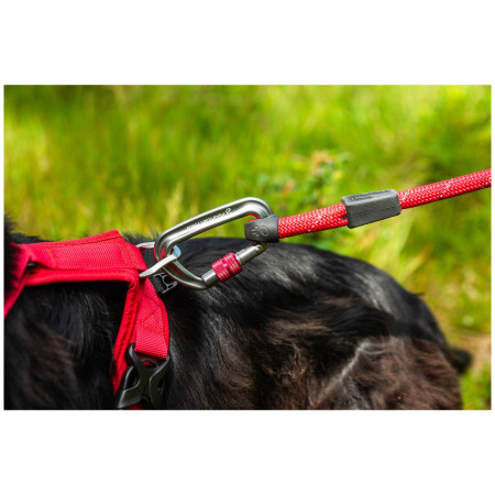 Повод за куче Mountain Paws Rope Dog Lead