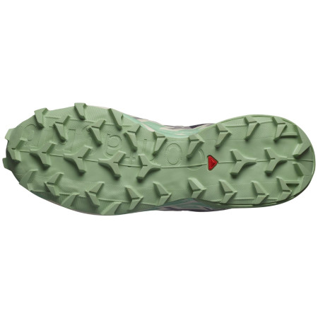 Дамски обувки за бягане Salomon Speedcross 6